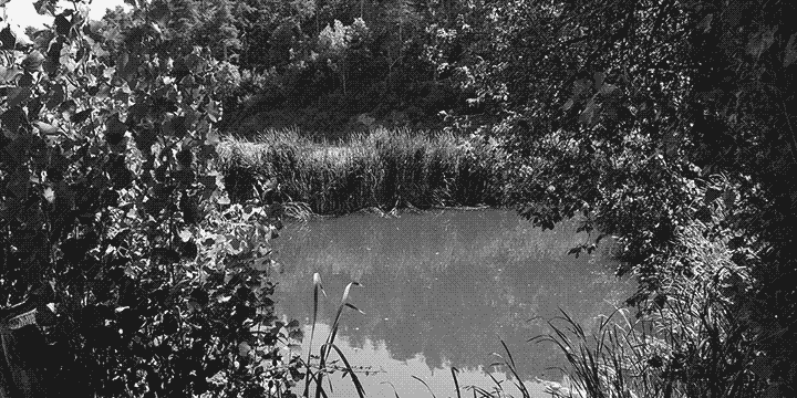 L'Étang que surplombe les gîtes